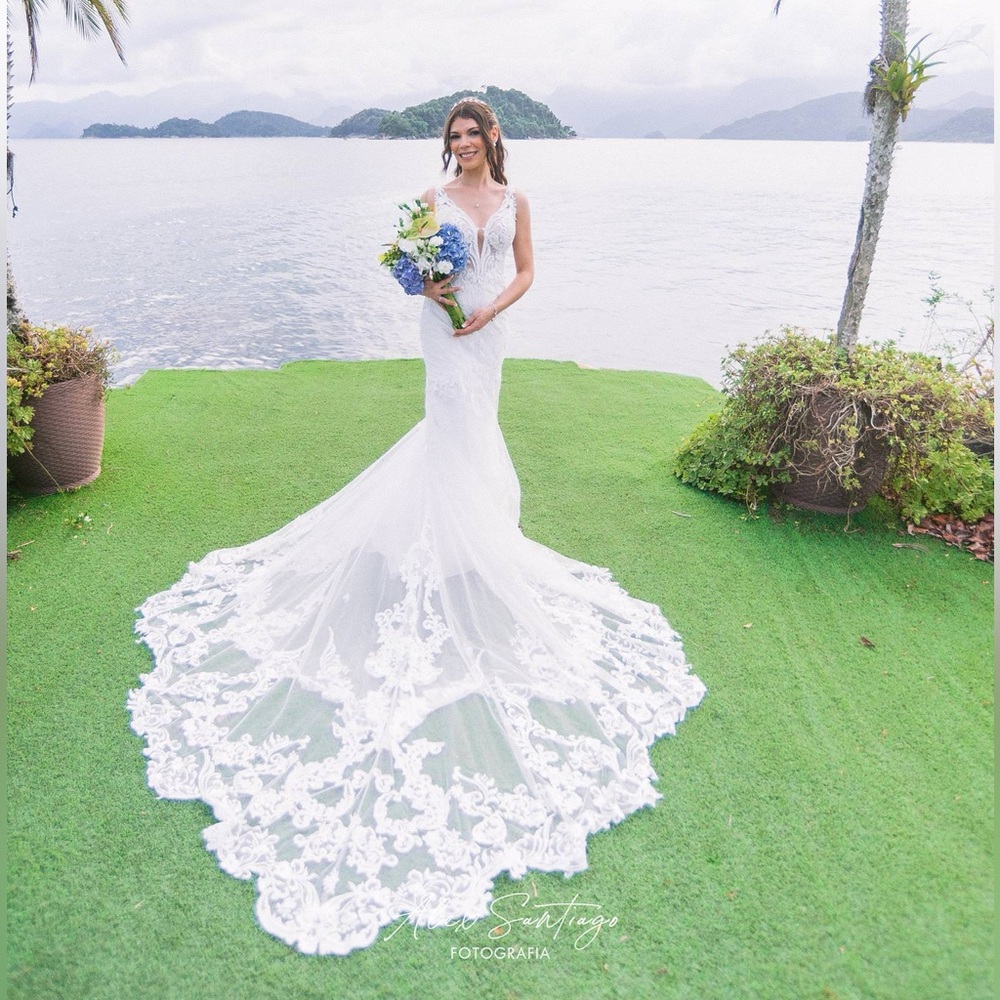 Elysee by Enzoani Henriette Mermaid Ivory Wedding Gown Size 4 - Picture 5 of 17